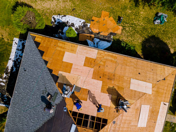 Best Metal Roofing Contractor  in Swainsboro, GA