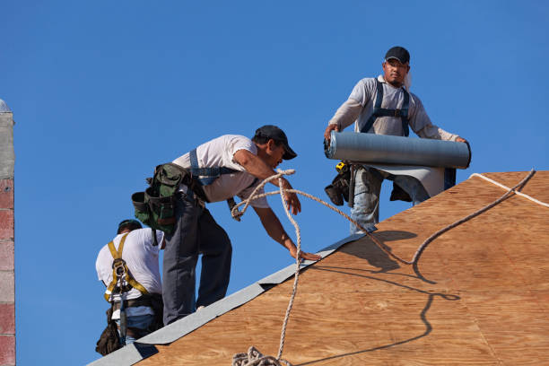 Best Commercial Roofing Services  in Swainsboro, GA