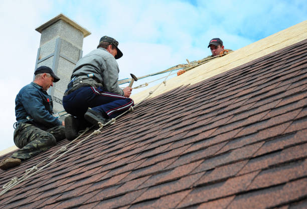 Best Gutter Installation and Roofing  in Swainsboro, GA