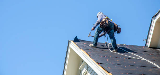 Best Roof Leak Repair  in Swainsboro, GA